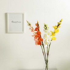 레이프릴플라워가든