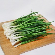 [자연맛남] 농협선별 신선한 쪽파 600g, 1개