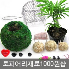 토피어리재료1000원샵/수태/이끼/체험학습, 기본, A1수태40g