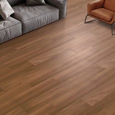 동화마루나투스진