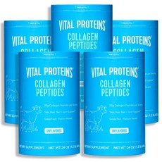 바이탈 프로틴 콜라겐 펩타이드 680g194329