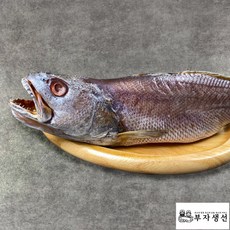 제수용 반건조생선 참민어 소 중 대 특대 판매, 38센치, 1개