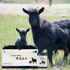 흑염소진액 흑염소즙 80ml 한달분, 30개