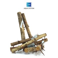 아쿠아시스템 세틀 가시나무 유목 ( 25cm | 35cm | 43cm ), 1개