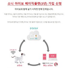 소니아이보6세대