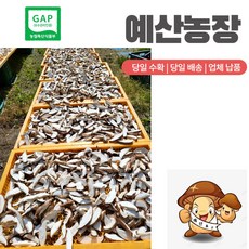 GAP인증 자연그대로담은 건조표고버섯 농장직송 말린 마른 200g/봉 슬라이스 다시용 국물용 육수용 김장재료 3+2 행사이밴트 200g/봉, 200g, 1개, 3개