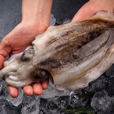 [얌테이블] 국내산 갑오징어(급냉) 500g, 상세 설명 참조