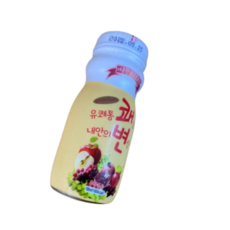 프리미엄 유쾌통쾌 내안의변신 100ml 12병 요구르트맛, 상세페이지 참조
