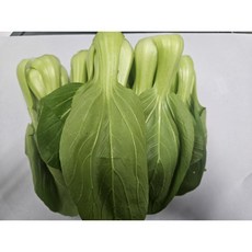 야채왕 싱싱한 청경채 중량별 - 수도권 충청지역 팀프레시 새벽배송, 1박스