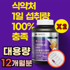 캐나다산 환절기 겨울철 구강 건강 관리 항균작용 정상적인 면역기능 과도한 업무 활동 건강기능식품 프로폴리스 아연 플라보노이드 하루1알 6개월분 대용량 플라보노이드 아연 이루다네, 180정, 2개