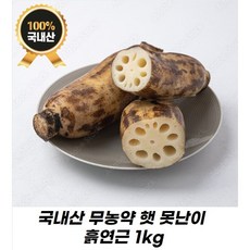 [국내산] 무농약 햇 못난이 흙연근, 1kg(못난이), 1개