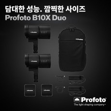 프로포토 B10X Duo Kit 250 Air TTL / B10X 250 DUO Kit /정품