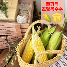 초특급당도 초당옥수수 1등품 옥수수 꿀달달, 10개, 1세트