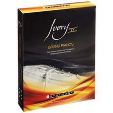 스타인웨이그랜드피아노