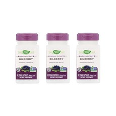 네이쳐스웨이 Bilberry 빌베리 160mg 비건 캡슐 60개입 [3통], 1개