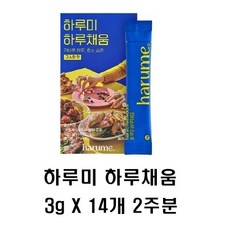 하루미 하루채움