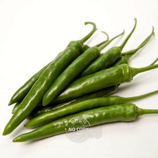 2022년산햇고추가격