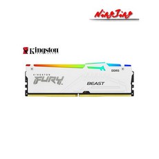 Kingston FURY Beast 데스크탑 AMD 인텔 CPU 마더보드 RAM DDR5 RGB 화이트 EXPO 16GB 32GB 5200 5600, 01 CHINA_11 512 메가바이트 - amd5600