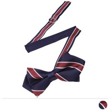 남자어린이보타이