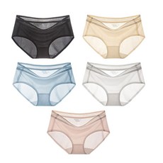 펜디콰드로