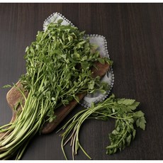 [The달다] 청도 특산품 미나리, 500g, 1박스
