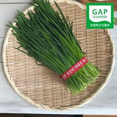 산지직송 당일작업 부추 특 충남햇부추 손질 노지 햇부추 1kg 1개