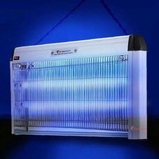 추천10 버그트랩