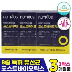 마이크로바이옴식단레시피