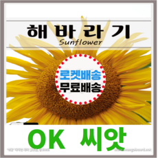 [OK씨앗] [해바라기] 해바라기씨앗 종자(오케이씨앗), 5g