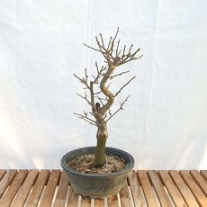 9f561a841a5ab5b249649e7d46cd1c9fa619265037157c36b598373c4c56.jpg
