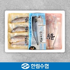 제주 한림수협 옥돔&굴비&고등어 혼합 선물세트 / 옥돔 130g*3팩+굴비600g(10미)+고등어100g*5+부직포가방, 1세트