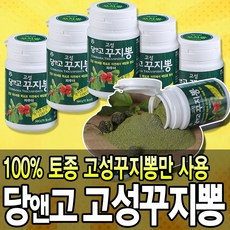당앤고 고성 꾸지뽕 분말 X 10통