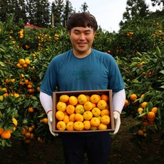 [남다른] 고당도 제주 감귤 리뷰후기