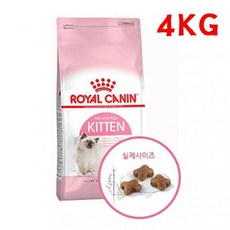 물건팜 로얄캐닌 캣 키튼 4kg 자묘용사료 고양이사료 반려묘 고양이 일반사료