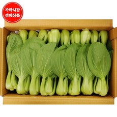 청경채4kg