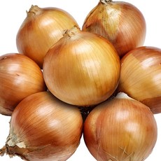 [울팜] 국내산 아삭 달달 단단한 창녕 양파, 1개, 양파(대) 1kg