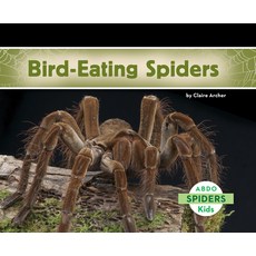 Bird-Eating Spiders Paperback, Abdo Kids Jumbo, English, 9781731645289
