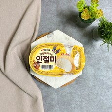 서주아이스크림 [빙그레] 찹쌀떡아이스인절미 20개, 85ml