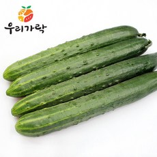 오이한박스