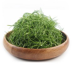 추천10세발나물효능