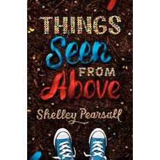 (영문도서) Things Seen from Above Hardcover, Alfred A. Knopf Books for Y..., English, 9781524717391
