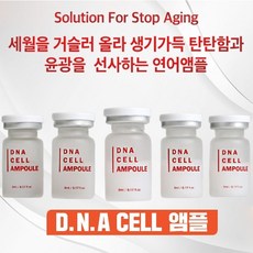 연어원료 함유 주다코 연어 DNA 앰플 mts앰플 [1Box 5ml x10개입]+MTS 롤러 포함 - 달링태그