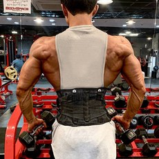 폭스밸리허리보호대