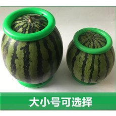 수박링