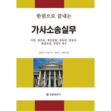 한권으로 끝내는 가사소송실무:이혼 위자료 재산분할 양육권 양육비 면접교섭 부양료 청구, 법률출판사