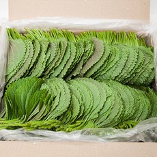 [프레시팜] 쌈채소 깻잎 500g 1kg