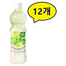 샤인머스캣착즙