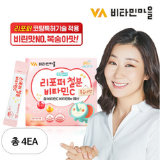 비타민마을 리포퍼 철분 비타민C, 90g, 4개