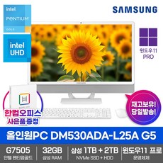 삼성전자 일체형PC 올인원 DM530ADA-L25A G5 Win11PRO/32GB램/SSD1TB/HDD2TB/한컴오피스증정/데스크탑