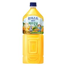 제주삼다수감귤주스